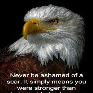 Meet your Posher, Wanda